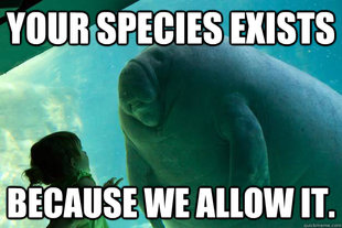 Overlord Manatee