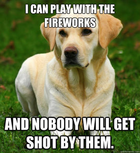 Dog Logic