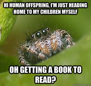 Misunderstood Spider