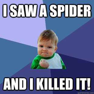 Success Kid
