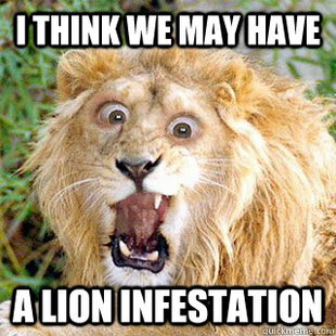 Crazy Lion