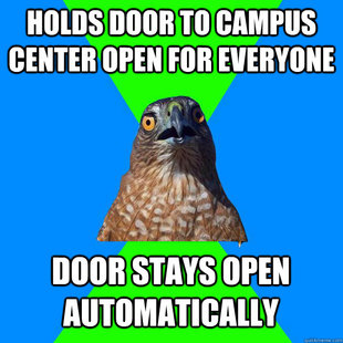 Hawkward