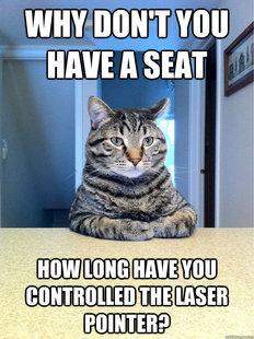 Chris Hansen Cat