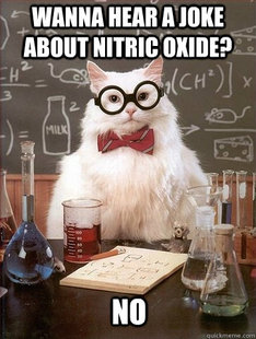 Chemistry Cat