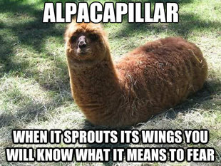 Alpacapillar