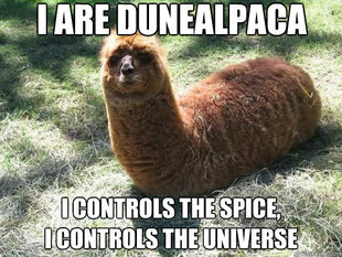 Alpacapillar