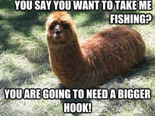 Alpacapillar