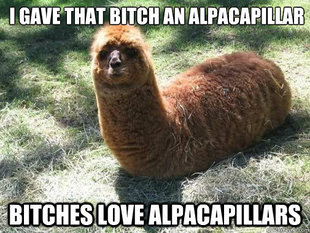 Alpacapillar