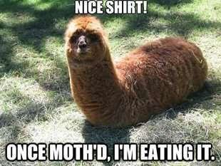 Alpacapillar