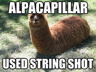 Alpacapillar