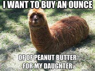 Alpacapillar