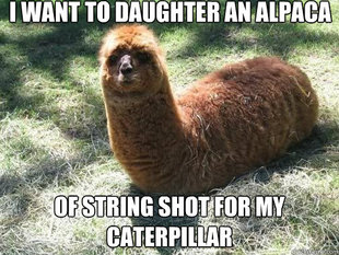 Alpacapillar