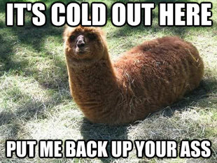 Alpacapillar