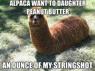 Alpacapillar