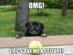 Berks Dog