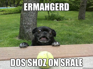 Berks Dog