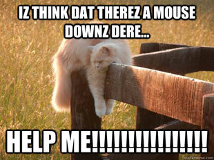 sqeek!
