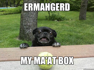 Berks Dog