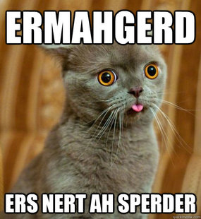 derp kitty
