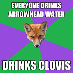 Anthropology Major Fox