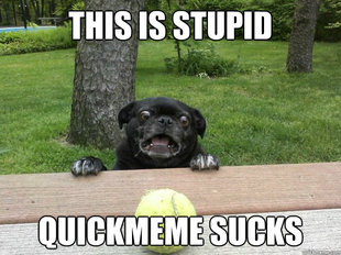 Berks Dog