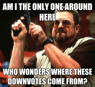 Am I The Only One Around Here