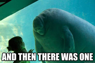 Overlord Manatee