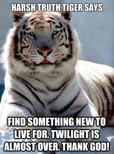 Harsh Truth Tiger