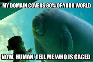 Overlord Manatee