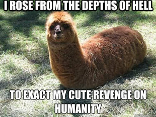 Alpacapillar
