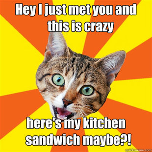 Bad Advice Cat