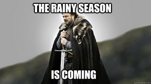 Ned stark winter is coming