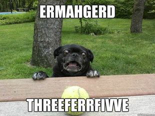 Berks Dog