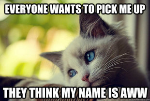 First World Cat Problems