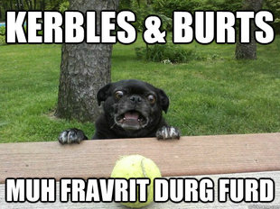 Berks Dog