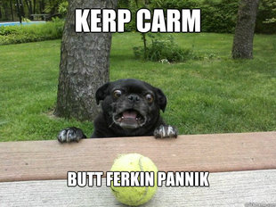 Berks Dog