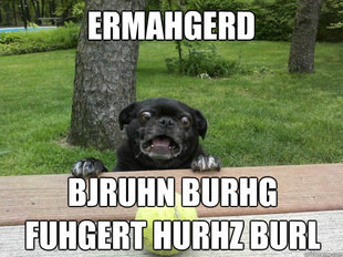 Berks Dog