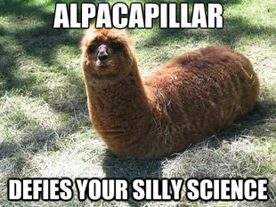 Alpacapillar