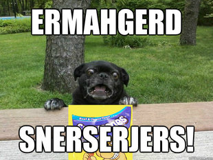 Berks Dog