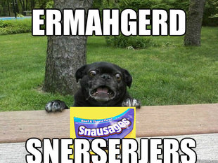 Berks Dog