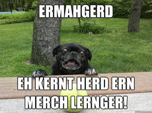 Berks Dog