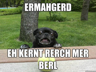Berks Dog