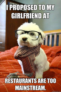 Hipster pup