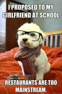 Hipster pup