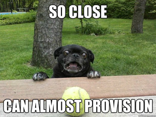 Berks Dog