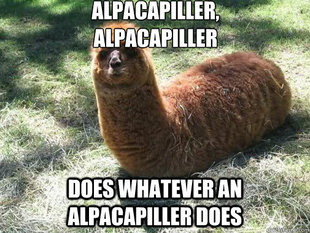 Alpacapillar