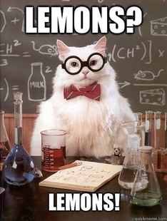 Chemistry Cat