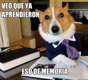 Lawyer Dog