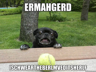 Berks Dog
