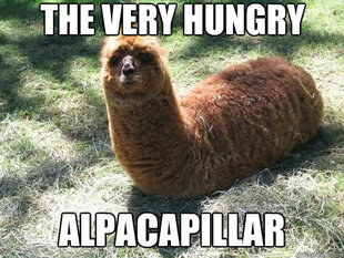 Alpacapillar